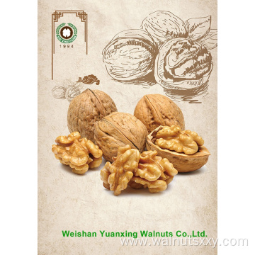 but Fine Chinese Walnut Kernels Light Pieces